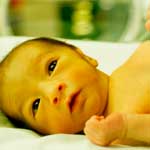 Postrasplante hepático